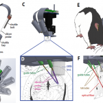 Miniaturized open source devices for calcium imaging, electrophysiology, and real-time control of neural activity
